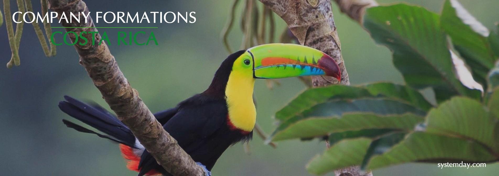 Costa Rica Company Formations