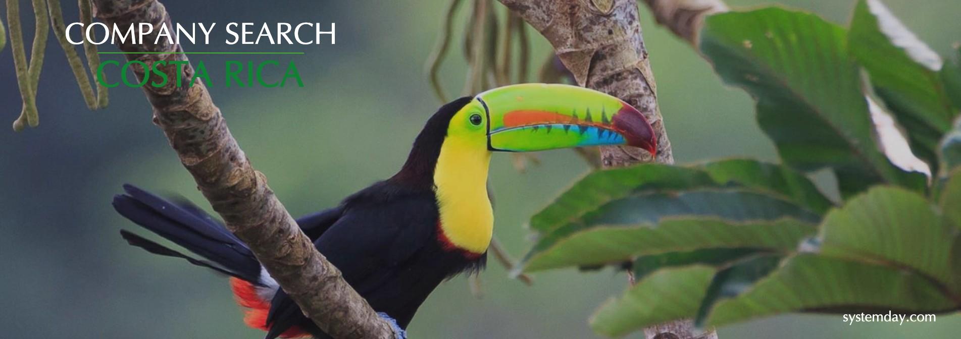 Costa Rica Company Search