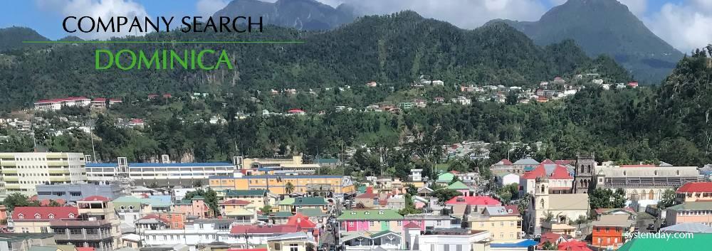 dominica company search