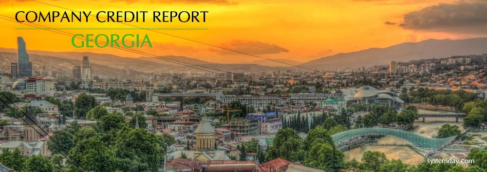 Georgia Company Credit Report