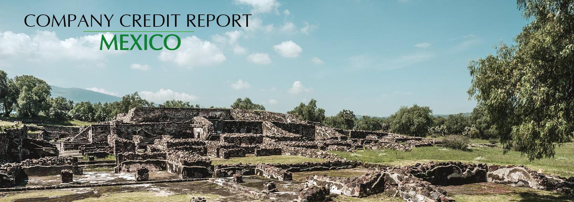 Mexico Company Credit Report