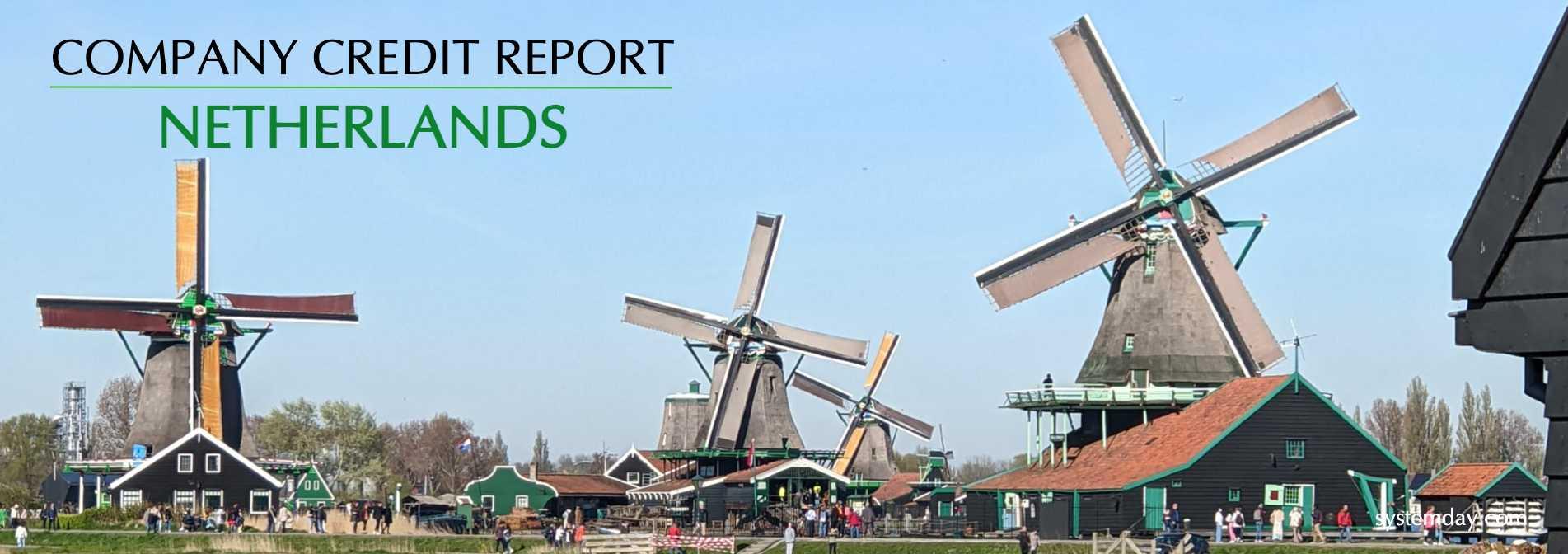 Netherlands Company Credit Report