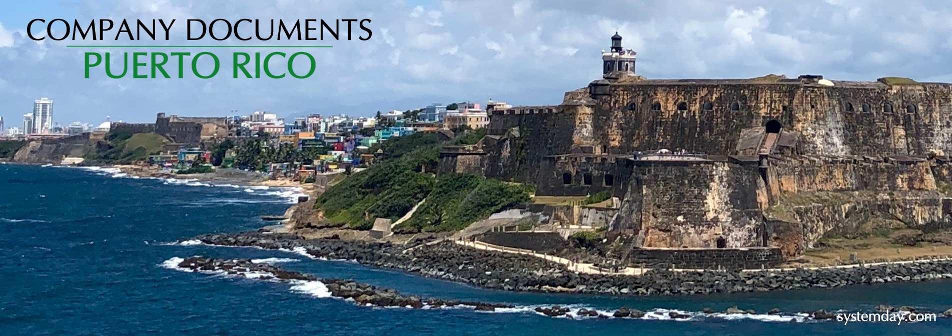 Puerto Rico Company Documents