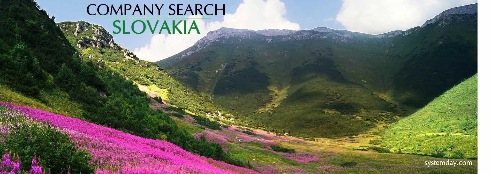 Slovakia Company Search