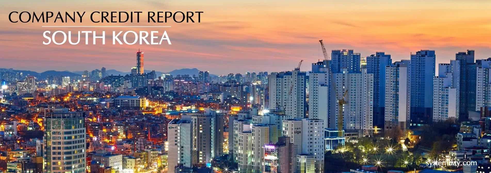 South Korea Company Credit Report