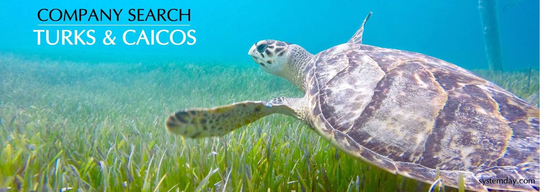 Turks and Caicos Company Search